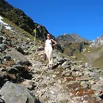 Garni Dorfblick 4* Kappl (Landeck)